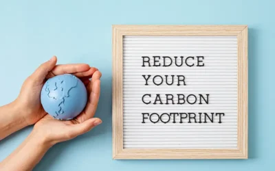 Document Scanning to Reduce Your Carbon Footprint