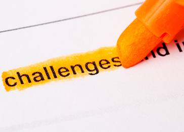 Challenges and Prospects of Digitization