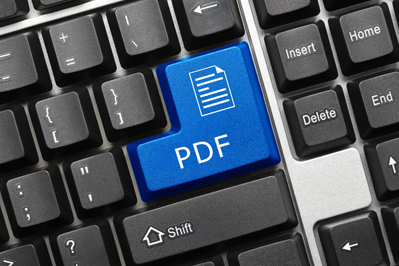 PDF for Business Documentation