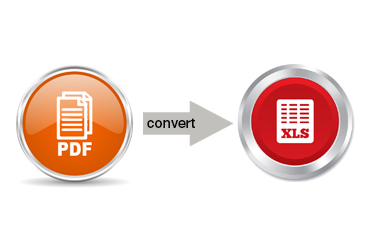 PDF to Excel Data Conversion