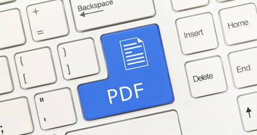PDF to Word Document Conversion