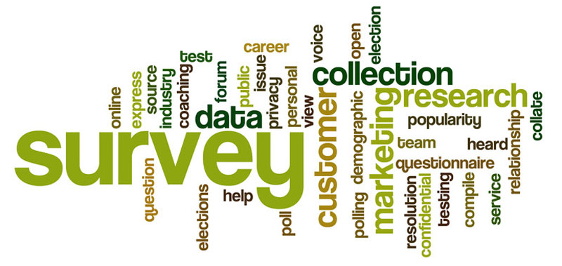 Survey Data Processing