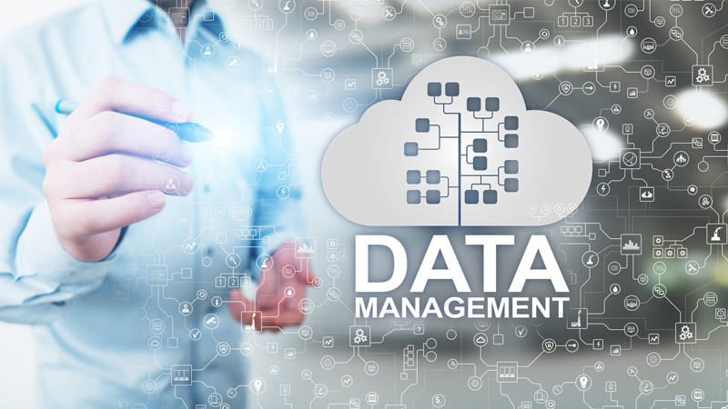 Why a Proper Data Management System Is Important for Businesses
