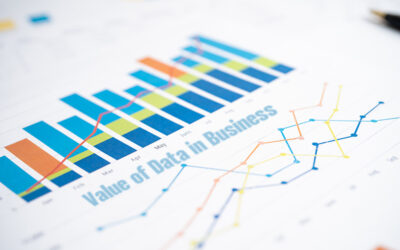 From Information to Impact: Understanding the Value of Data in Business