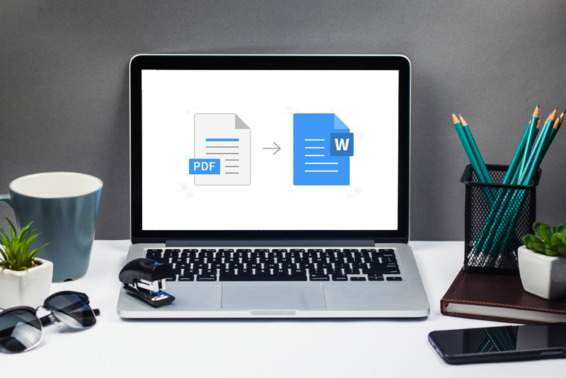 Convert PDF File into MS Word