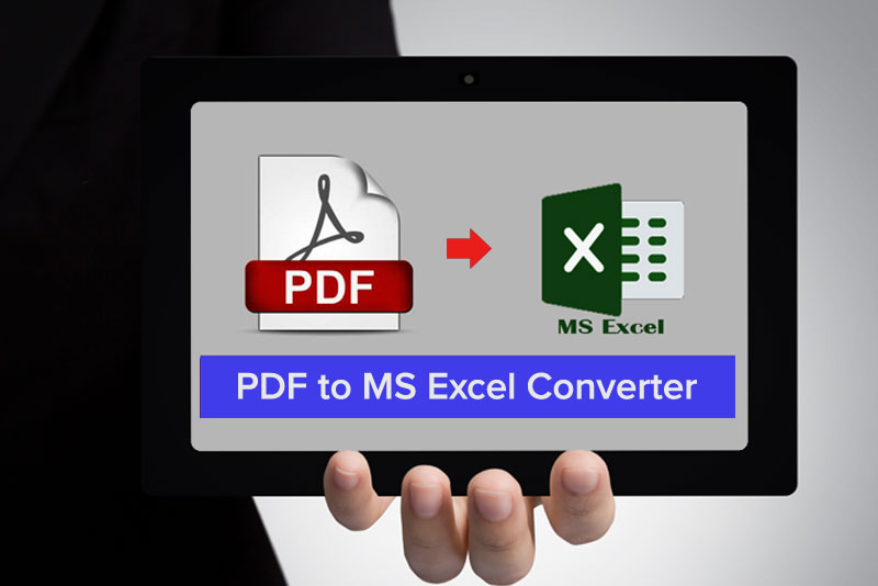 PDF to Excel