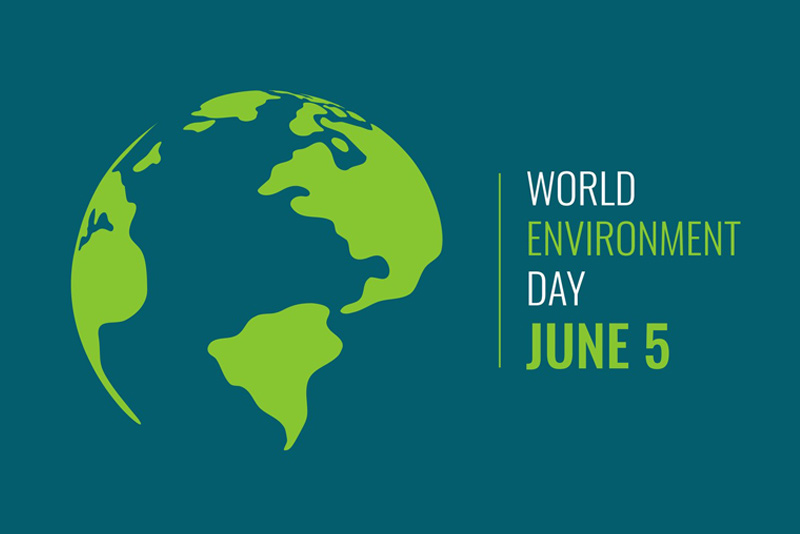 How to Reduce Office Paper Usage This World Environment Day
