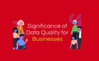 Significance Of Data Quality For Businesses [INFOGRAPHICS]