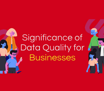 Significance Of Data Quality For Businesses [INFOGRAPHICS]