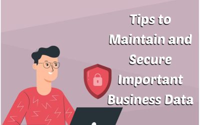 Tips to Maintain and Secure Important Business Data [infographic]