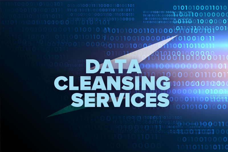 Data Cleansing Services