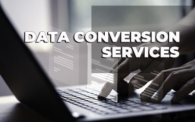 Data Conversion Services Market to Grow Globally by 2031
