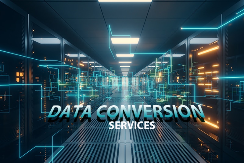 Data Conversion Services