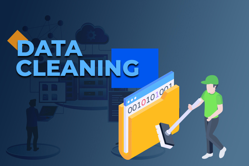 Data Profiling and Data Cleansing