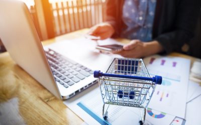 Avoiding Data Overload: Strategies for Efficient eCommerce Data Entry