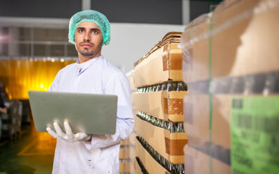 How Big Data in the Food Industry and Data Analytics Revolutionize This Sector
